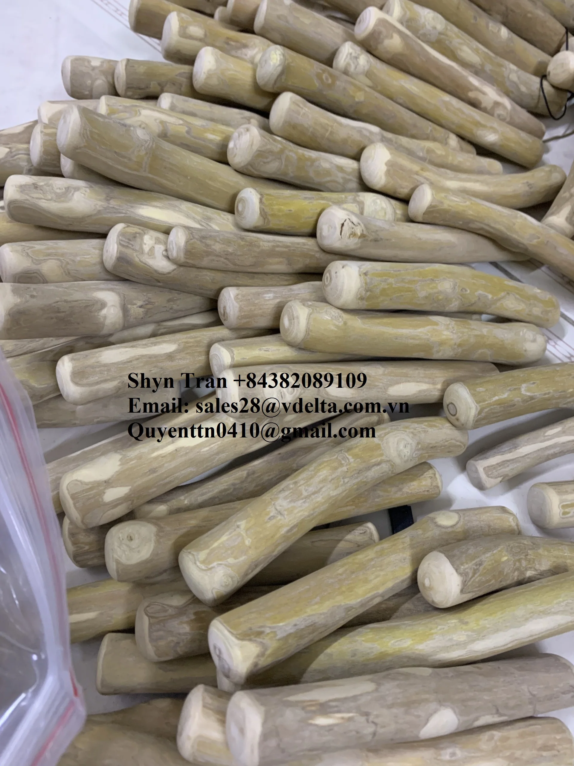 Chewing Root Made Of Coffee Wood For Your Fourlegged Friend / Coffee