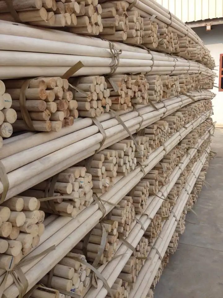 Manau Rattan Poles From Vietnam Manufacture/ Polished Rattan Cane ...