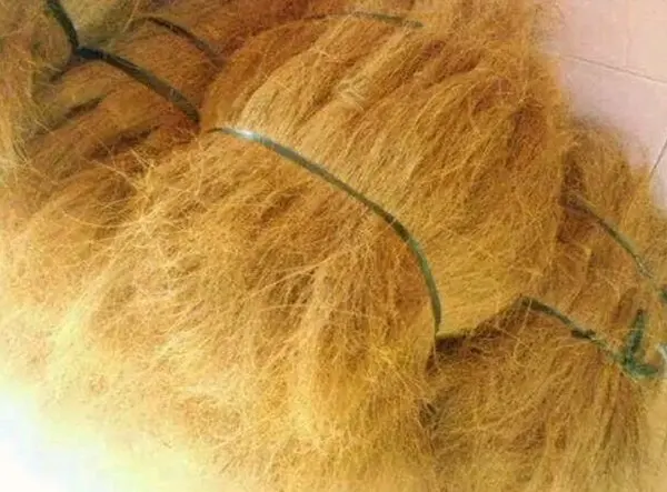 
Cocofiber for Horticulture, Coconut Fiber Indonesian Agriculture 
