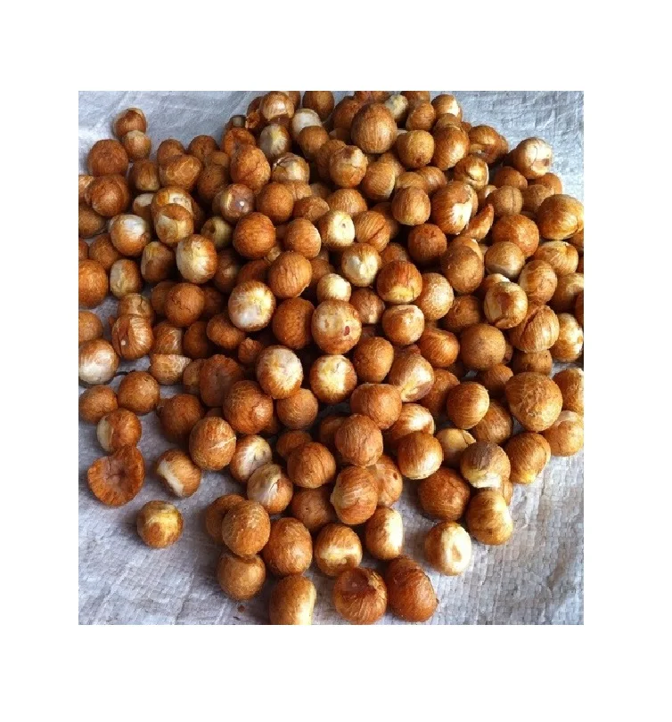 Высококачественный орех BETEL из Вьетнама/сушеный орех ARECA/супарари (Жасмин: + 84 37 461 9429)