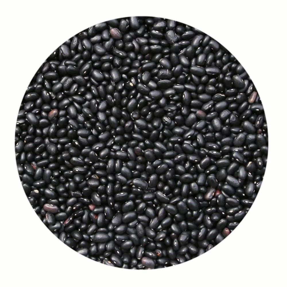 buy black beans,organic black beans,bulk black beans product
