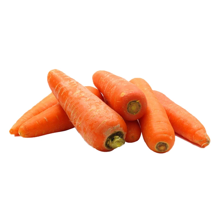 best quality whole and fresh red carrot