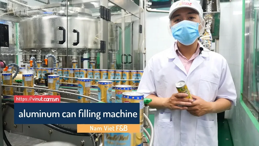 355 мл газированные напитки VINUT банка (луженая) кофеин вода Apple Производство Быстрая доставка Частный лейбл