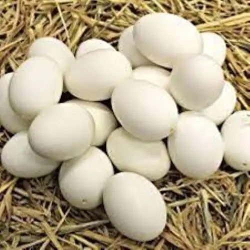 pulcini uova degli ospiti casa di fattoria adatto per pollo Bmocoen Uova da collezione anatra lavoro e per adulti abbigliamento per la casa 