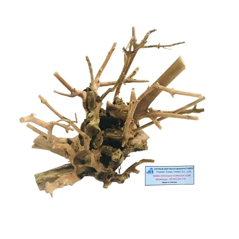 Оптовая продажа 2025 натуральных аквариумных коряг для аквариумных аксессуаров WhatsApp: + 84 963 949 178