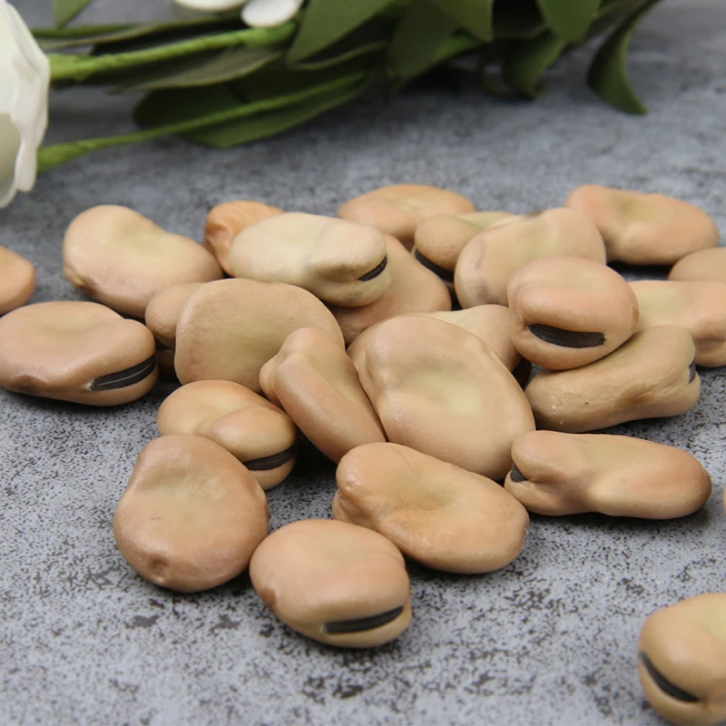 Broad Beans.jpg