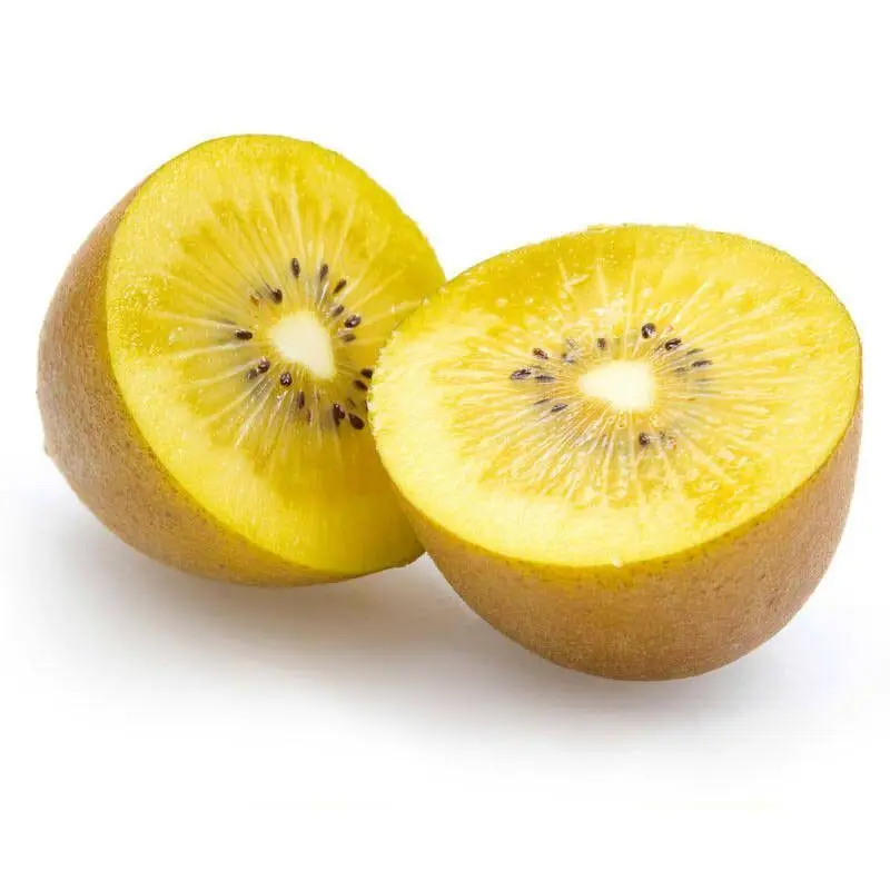 premium sweet green kiwi fruit for export