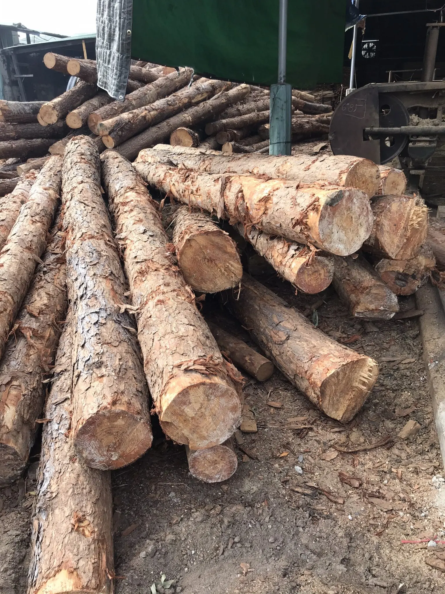 Uniform Color Acacia/rubber/ Pine Wood Timber Lumber Make Wooden Pallets,Construction Customer's