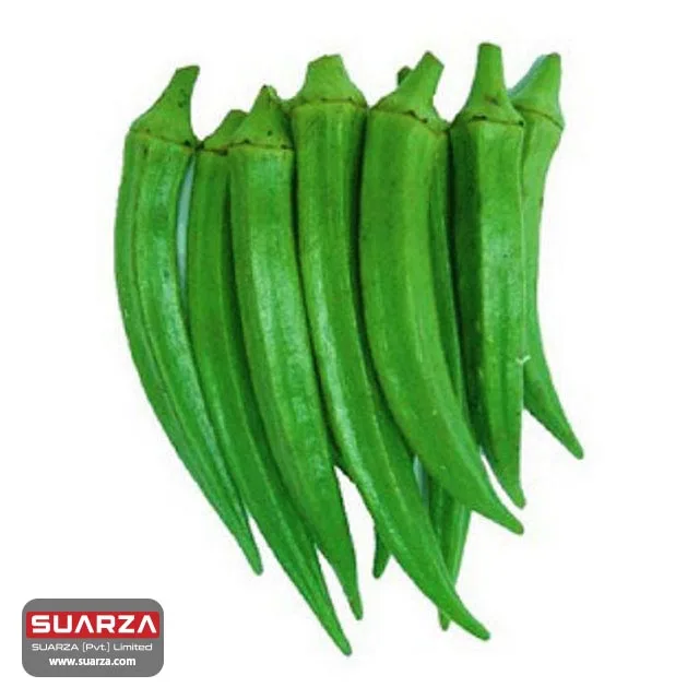 fresh top quality lady finger (okra) for supply to all over the