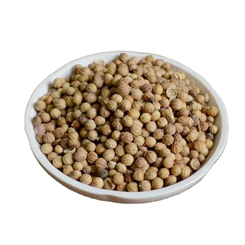 coriander seed for sale from ukraine | dried coriander seeds for