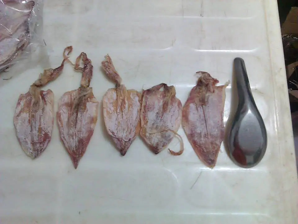 Wholesales New Season Dried Squid In Bulk Buy Dried Squid Dry Squid