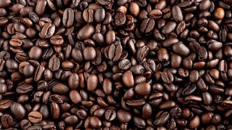 arabian coffee beans.9.jpg