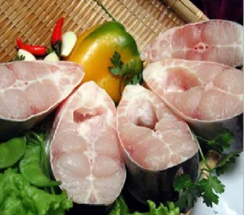 HIGH QUALITY SEAFOOD FROZEN CATFISH STEAK CUT WITH BEST PRICE