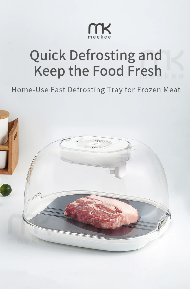 2022 Portable Thawingmachine Meat Defroster Buy Quick Thaw Defrost