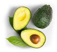 Fresh Avocado Made in Vietnam for Export With the Best Price Standard High Tropical Fruit New 2022