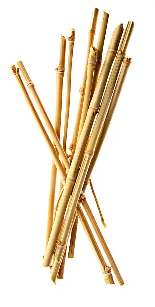Saterkali Semi di bambù, semi di bambù 50 pezzi semi freschi naturali