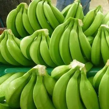 fresh-banana.jpg