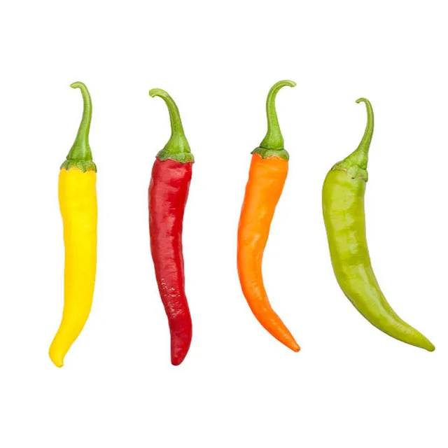 hot selling organic chilli fresh pepper export dried red chili