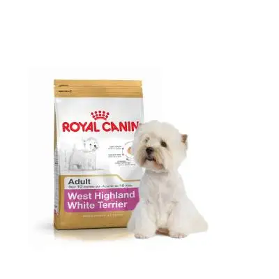 Stadscentrum Wie Continu Supplier Of Royal Canin Maxi Adult Dog Foods - Buy High Qulaity Royal Canin  Maxi Adult Dog Foods,Cheap Royal Canin Maxi Adult Dog Foods,Buy Royal Canin  Maxi Adult Dog Foods Online Product