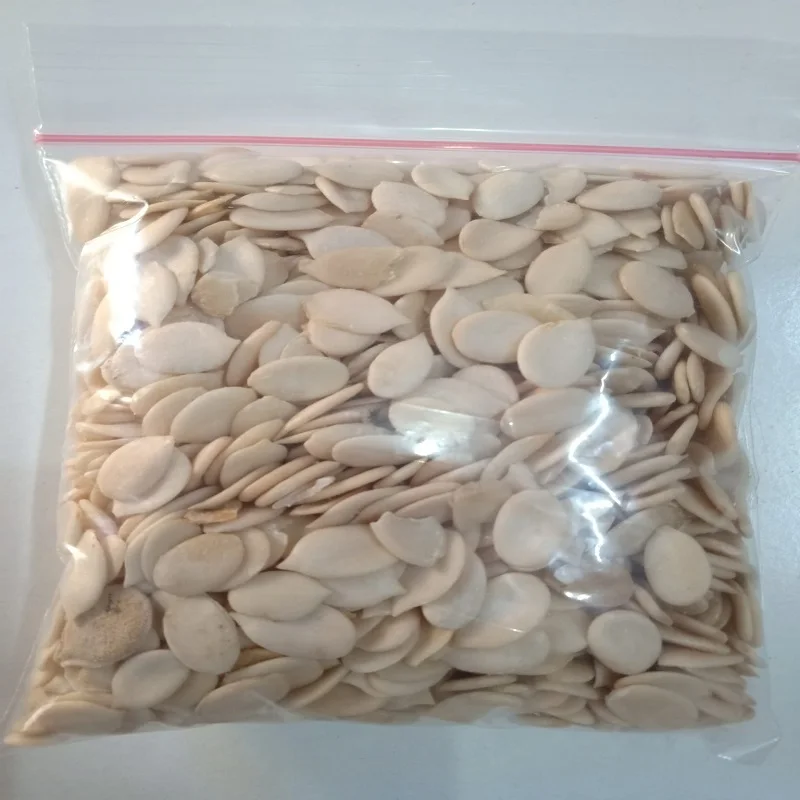 egusi 8.jpg