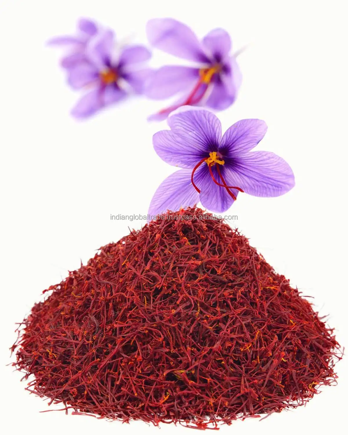 Good Quality Saffron At Best Price In India Supplier Of Original Kashmiri Saffron Buy Good Quality Saffron At Best Price In India Supplier Of Original Kashmiri Saffron Kashmiri Saffron Good Quality Saffron