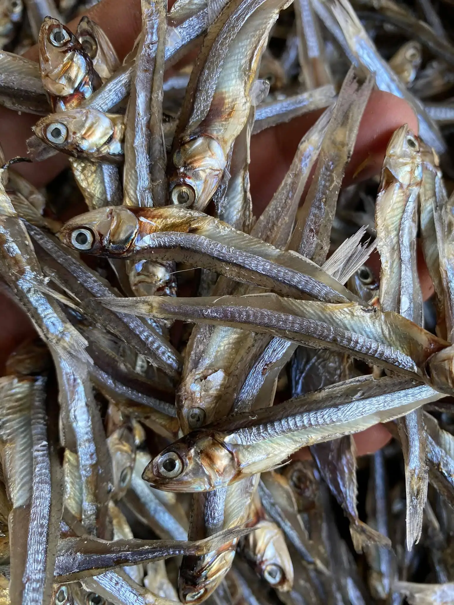 Dried Small Anchovy fish 4-6cm Not Boil Type from Vietnam Supplier 2022