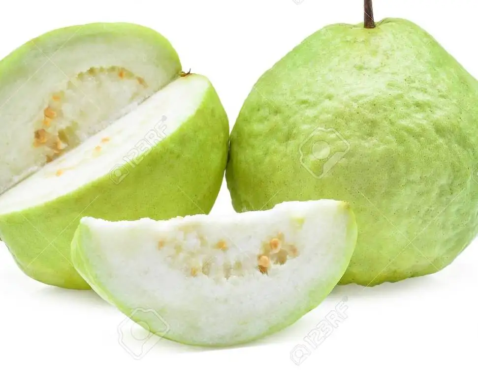 white guava /gova/pesidium guajava fresh fruits