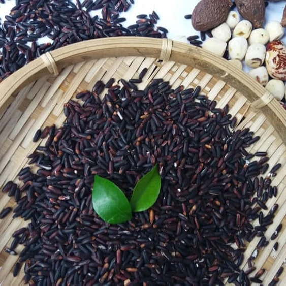 wholesale glutinous rice herbal purple rice / black paddy rice