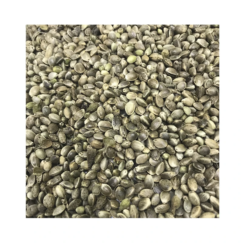 Hemp Seeds Wholesale From Manufacturer Natural 100% High Quality Grain Factory Price