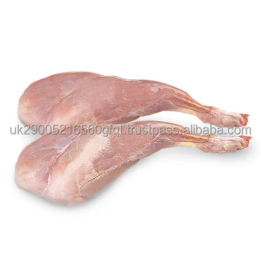 rabbit2.jpg