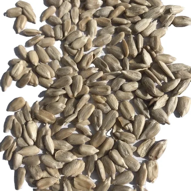 Sunflower Seeds For Oil Black Inner Mongolia Sunflower Kernel Best