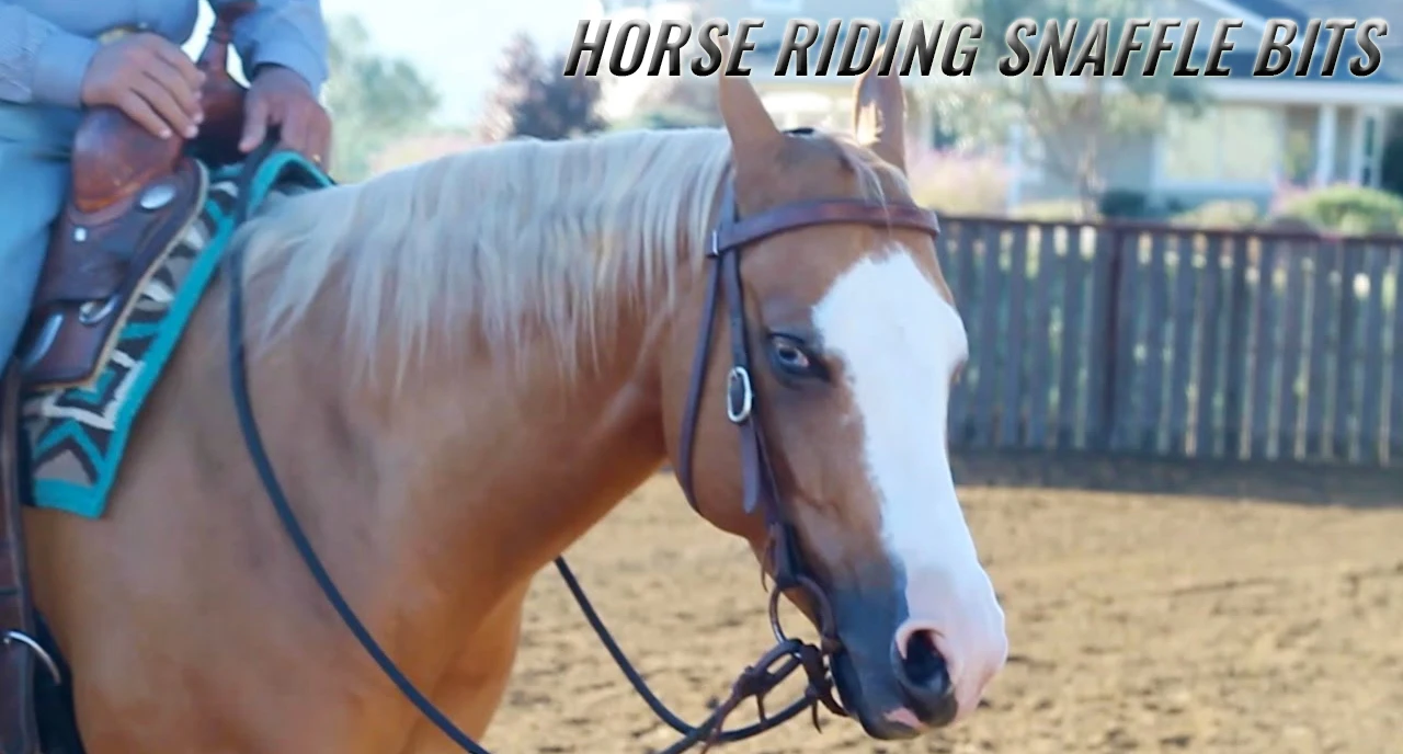 3 Ring Continental,Dutch Gag French Link,Horse Bit /horse 3 Ring Hallow