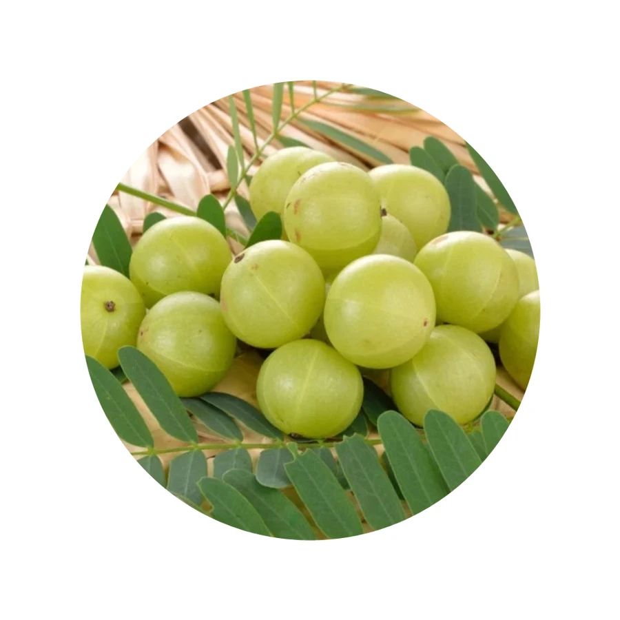 2023 Pure Amla Powder Low Price Indian Gooseberry Fruit for Hair Growth High Quality Organic OEM Manufacturer Best Choice