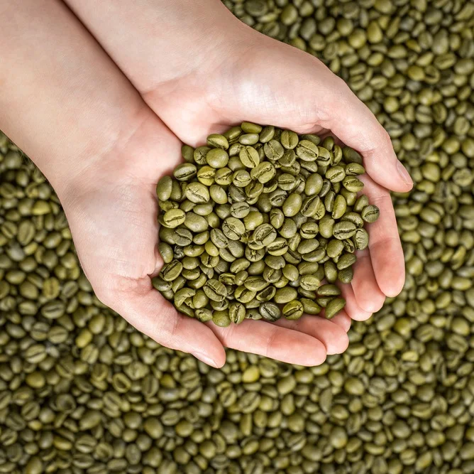 unroasted coffee bean suppliers
