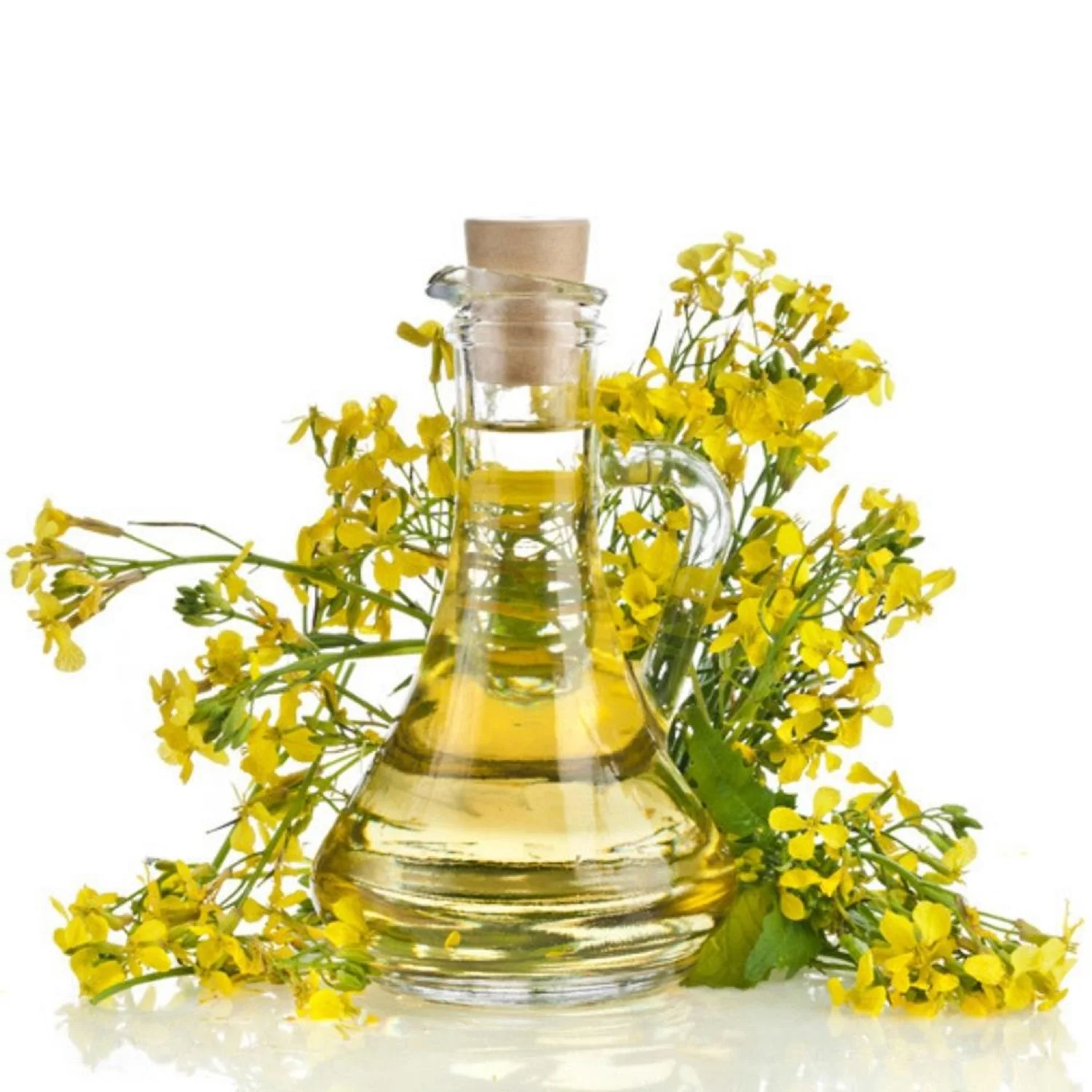 Rapeseed oil Certified Organic 100 % Pure Refined Rapeseed Oil, Canola Oil, Crude degummed rapeseed oil