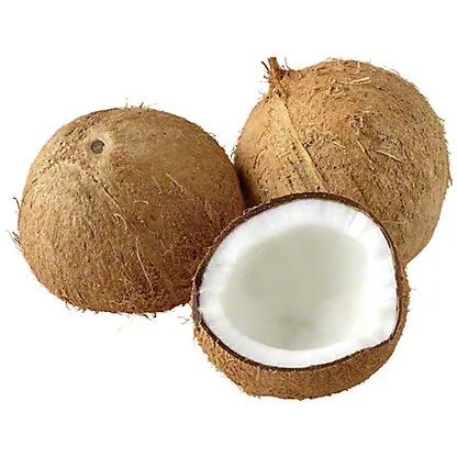 australia bulk supply wholesale coconut for export 100% natural