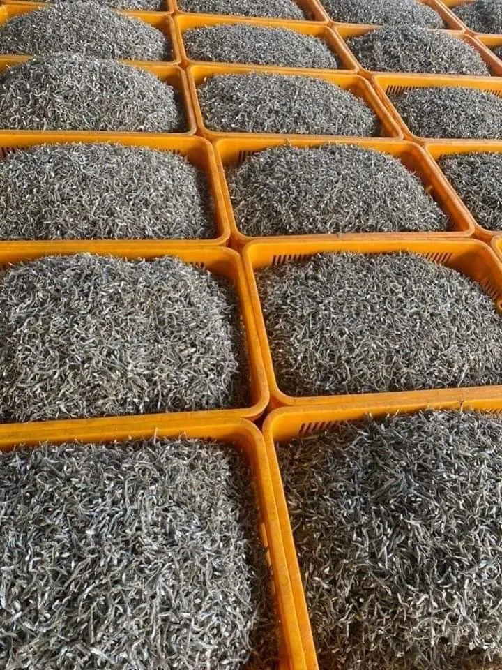 Dry Stock Fish,Smoked Catfish,Dried Anchovies And Others Available