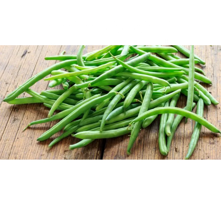buy fresh string beans,green bean,sunfruit