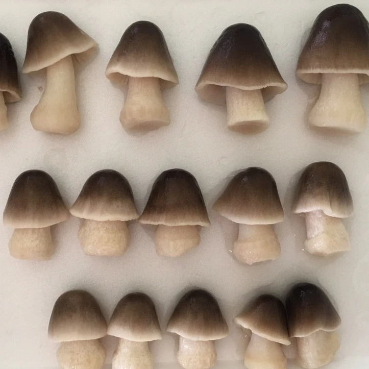 Frozen Straw Mushrooms - Food Supplier