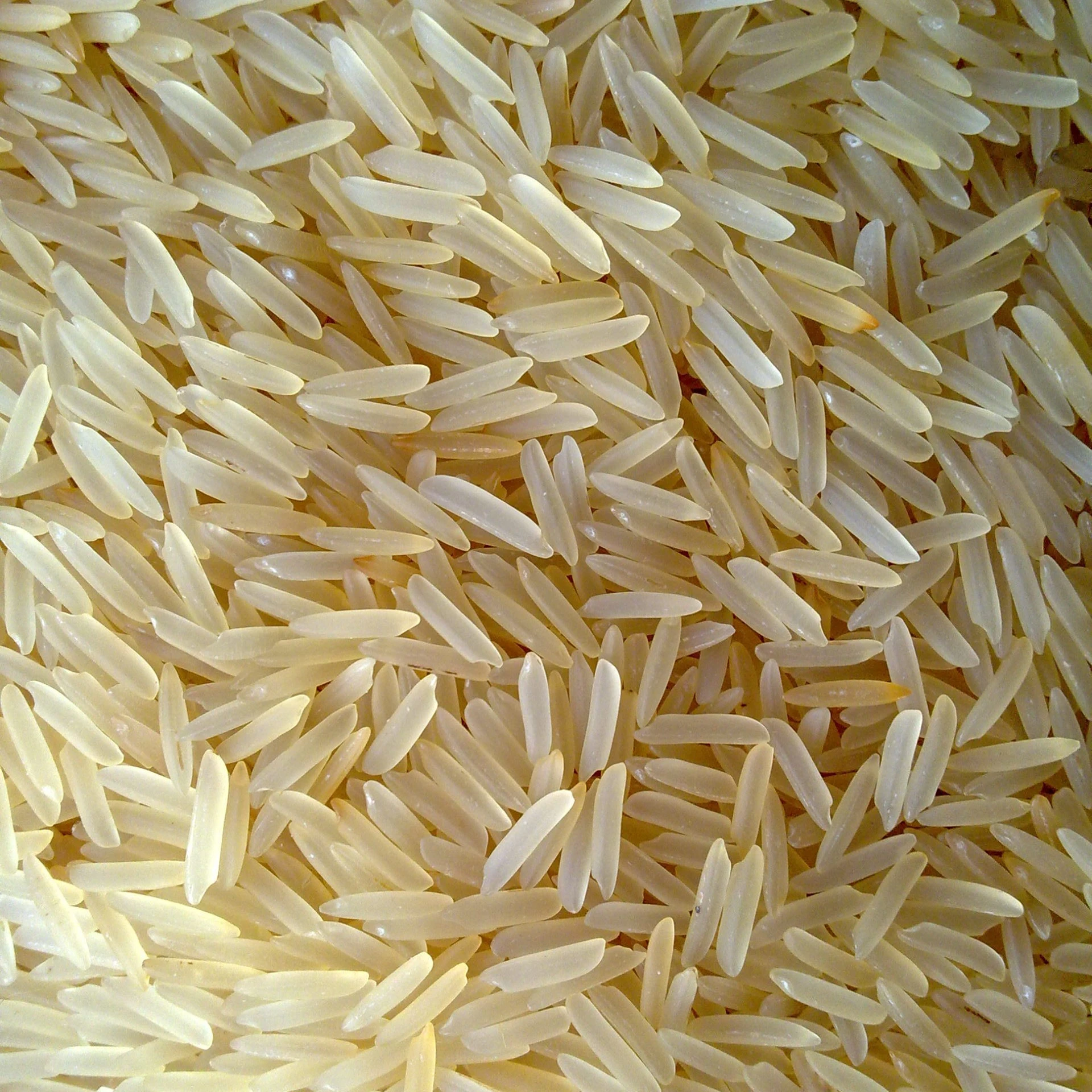 1121 steam basmati rice фото 7