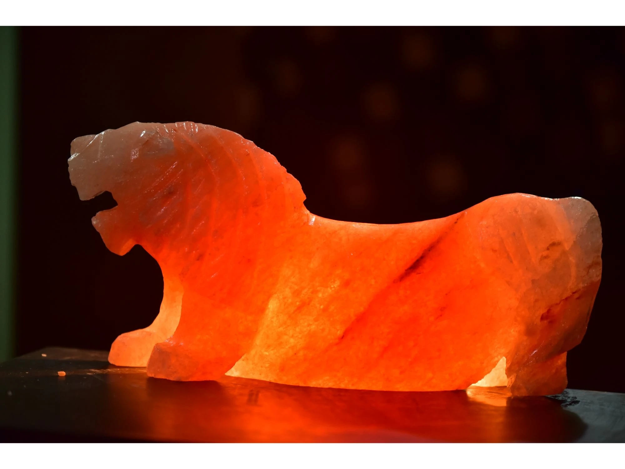 lion salt lamp