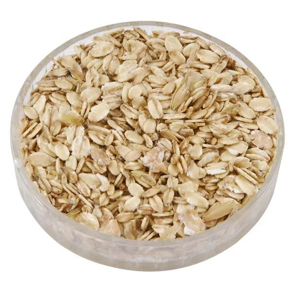 Oats Grain2