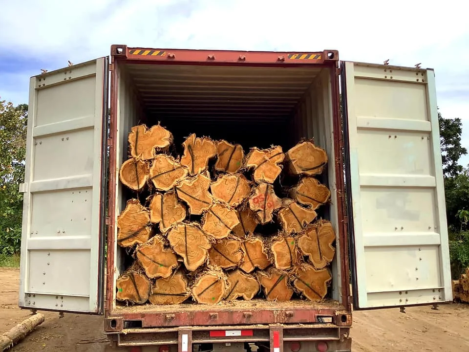 Teak Round Wood Original From Laos Very Cheap Price Buy Teak Wood For