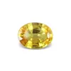 Golden Yellow To Light Yellow