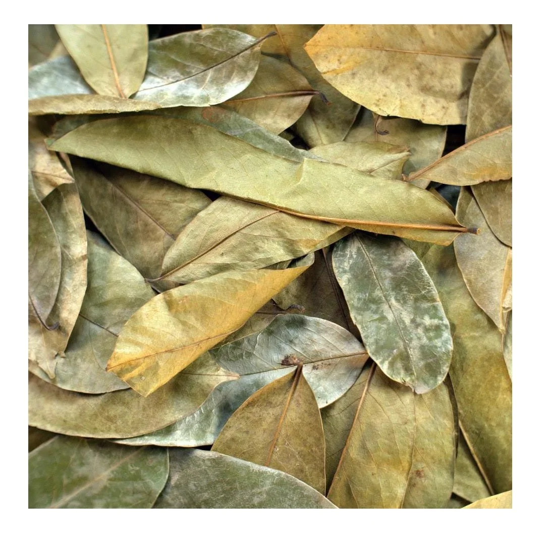 Detailed Where Can I Buy Soursop Leaves View for Mobile Detailed Where Can I Buy Soursop Leaves View for Mobile