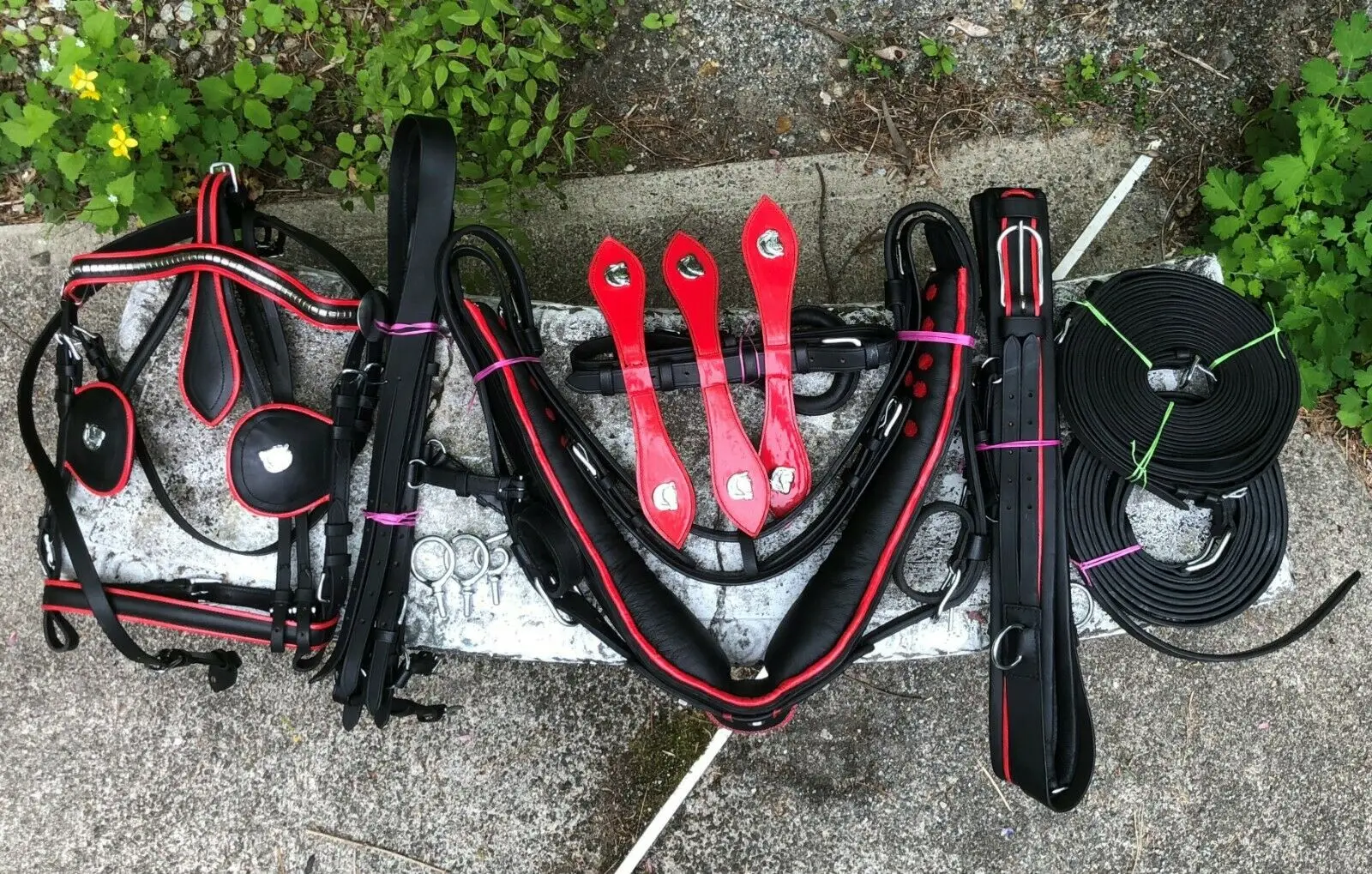 Ремень для вождения лошадей