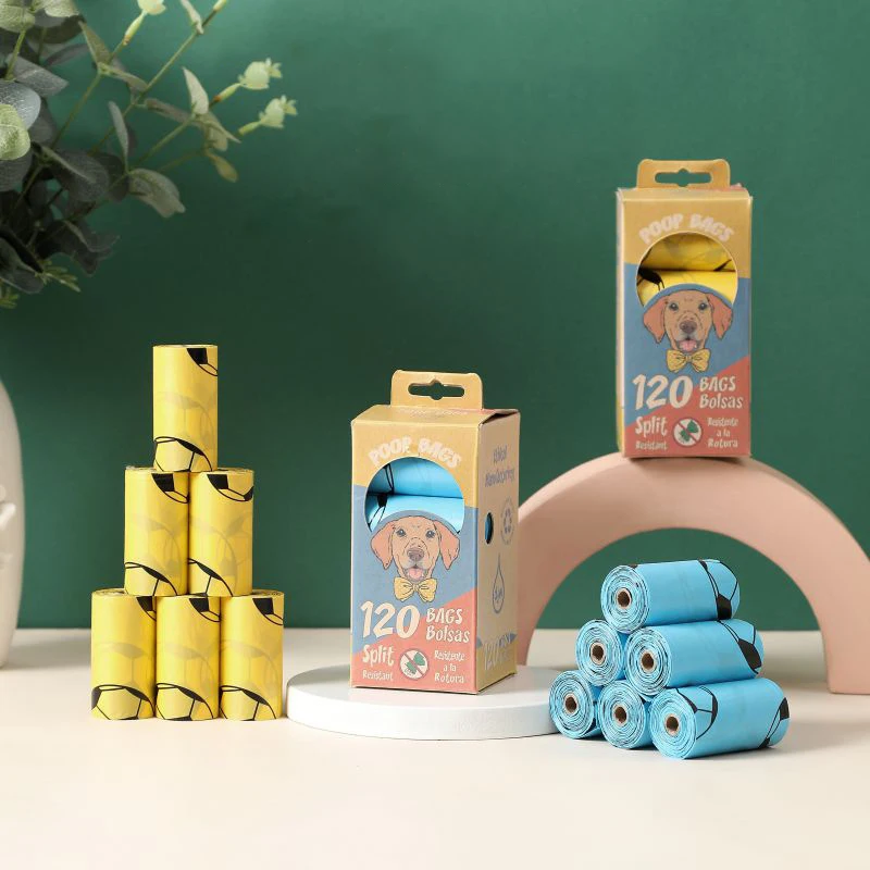 disposable cat carrier