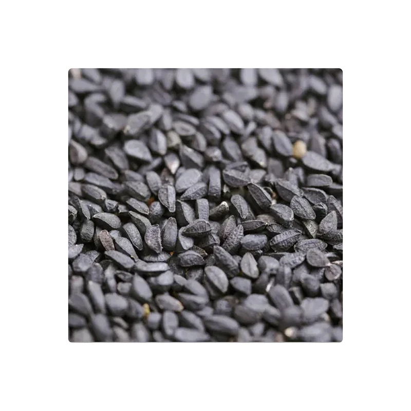 Black Cumin Seeds Granule Shaped Top Quality Cumin Seeds Helps Preventing  Hair Fall - Buy Cumin Seeds Black Seed,Black Cumin Seeds Black Cumin,Jeera  Seeds Cumin Seeds Jeera Product on 