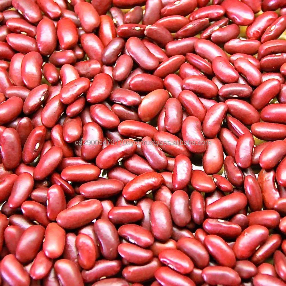 RedKidney-Beans.jpg