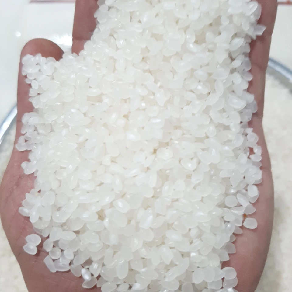 all black coach backpack